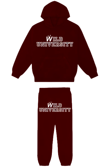 WILD UNIVERSITY HOODIE + SWEATPANTS FULL SET TRACKSUIT